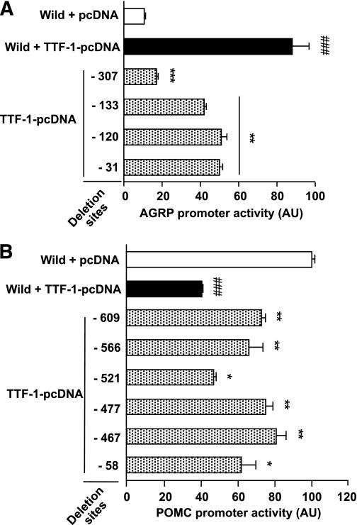 https://cdn.ncbi.nlm.nih.gov/pmc/blobs/c4db/3046831/94a93e367ee2/710fig3.jpg