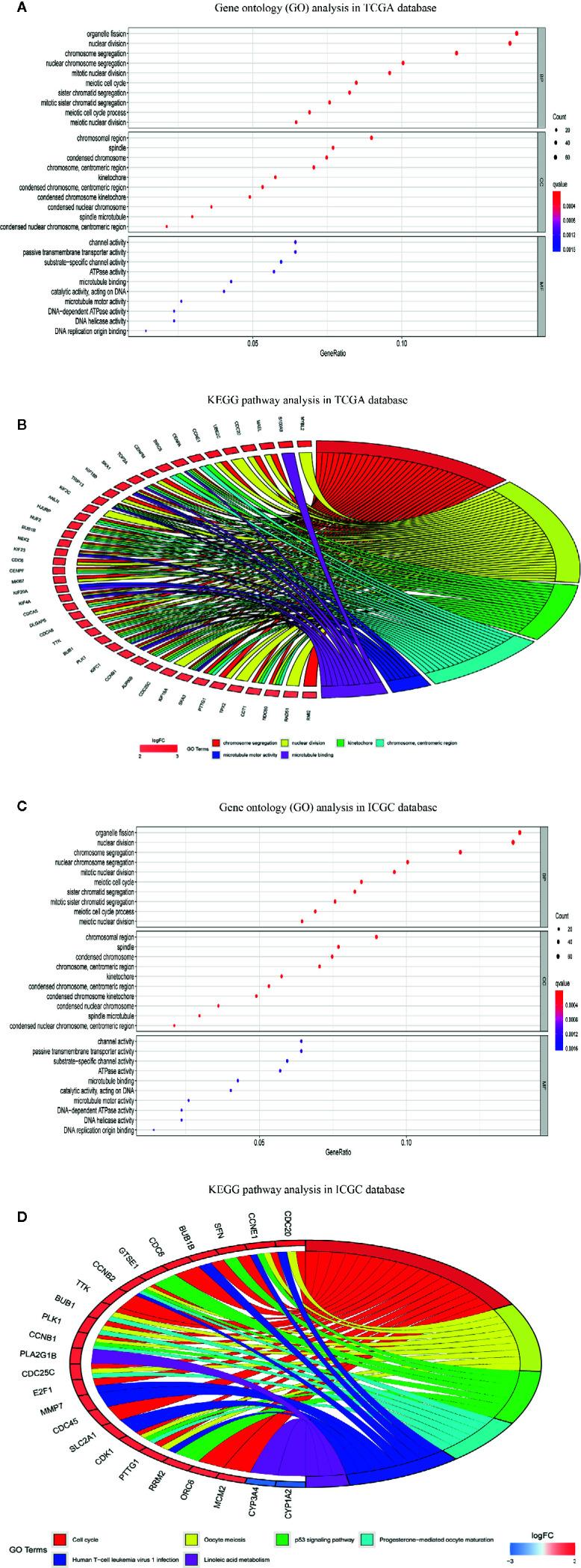 https://cdn.ncbi.nlm.nih.gov/pmc/blobs/c4de/7994902/5db75b6860c1/fonc-11-626654-g010.jpg