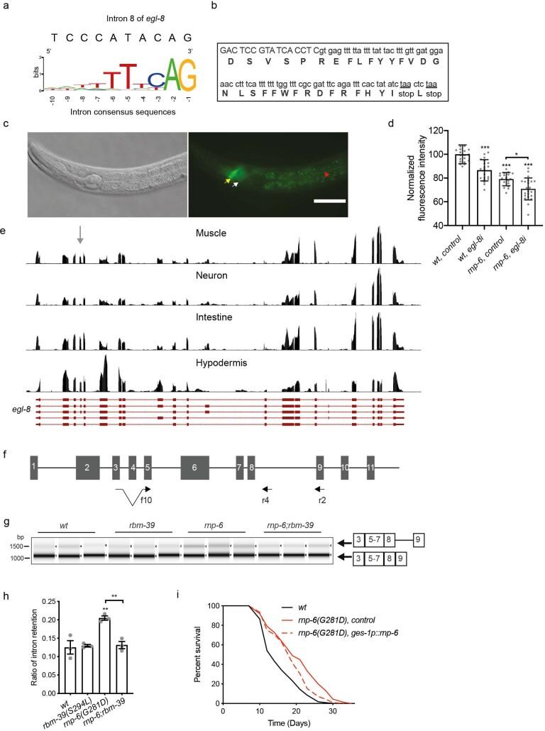 https://cdn.ncbi.nlm.nih.gov/pmc/blobs/c4f7/10154236/b2ef3400afc6/43587_2022_275_Fig11_ESM.jpg