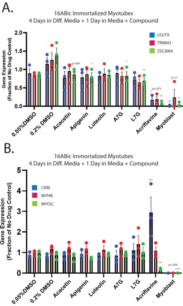 https://cdn.ncbi.nlm.nih.gov/pmc/blobs/c502/10654915/21467cd081d1/41419_2023_6257_Fig4_HTML.jpg