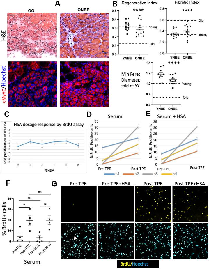 https://cdn.ncbi.nlm.nih.gov/pmc/blobs/c50b/7288913/6c511649da16/aging-12-103418-g002.jpg