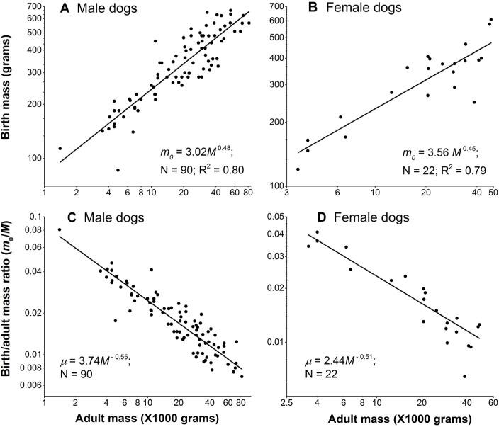 https://cdn.ncbi.nlm.nih.gov/pmc/blobs/c50c/5270664/a434b35a96a4/aging-08-3209-g003.jpg