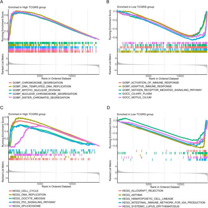 https://cdn.ncbi.nlm.nih.gov/pmc/blobs/c545/11793796/f389df200ff5/432_2023_5554_Fig10_HTML.jpg