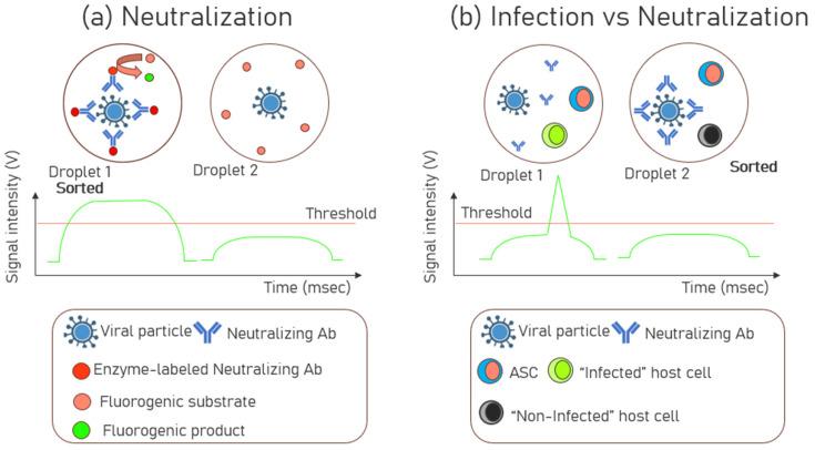 https://cdn.ncbi.nlm.nih.gov/pmc/blobs/c552/12293579/1fc6d567cd77/biosensors-15-00409-g006.jpg