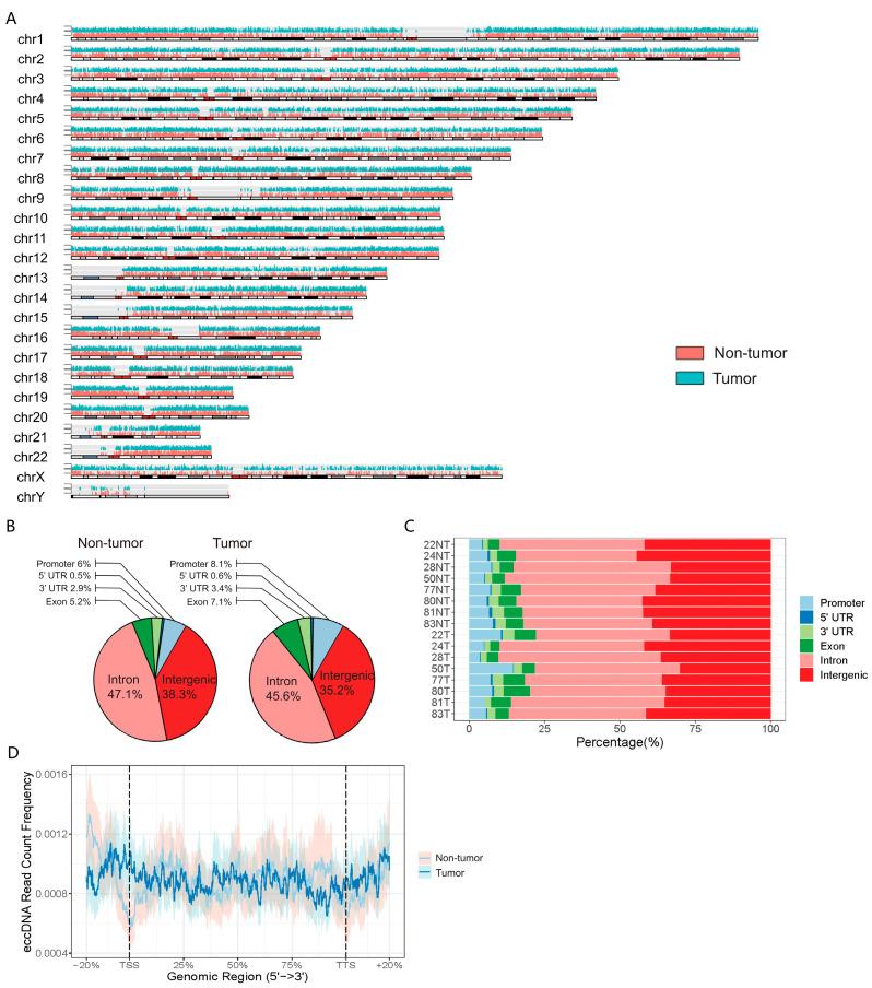 https://cdn.ncbi.nlm.nih.gov/pmc/blobs/c568/10670553/ca703e233a60/cancers-15-05309-g002.jpg