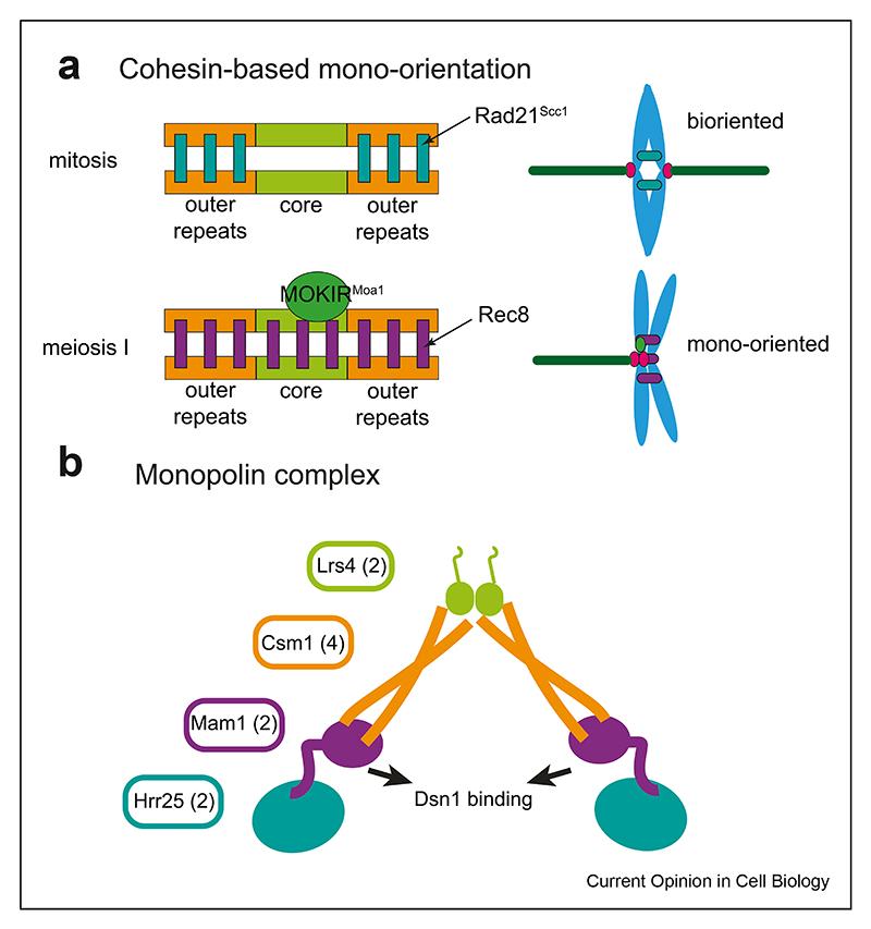 https://cdn.ncbi.nlm.nih.gov/pmc/blobs/c569/7617577/d717889e76d1/EMS204297-f002.jpg