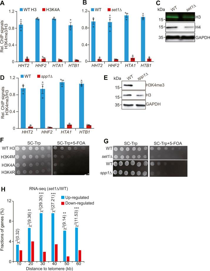 https://cdn.ncbi.nlm.nih.gov/pmc/blobs/c56c/9806677/21511e443fdb/LSA-2022-01614_FigS6.jpg