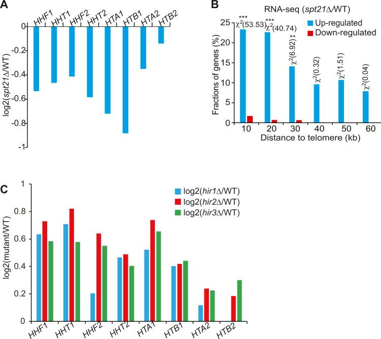 https://cdn.ncbi.nlm.nih.gov/pmc/blobs/c56c/9806677/8e15771bbbb1/LSA-2022-01614_FigS1.jpg