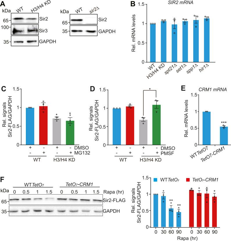 https://cdn.ncbi.nlm.nih.gov/pmc/blobs/c56c/9806677/d4774f74674f/LSA-2022-01614_FigS2.jpg