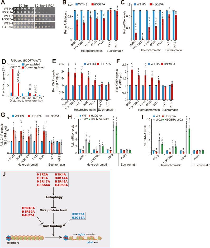 https://cdn.ncbi.nlm.nih.gov/pmc/blobs/c56c/9806677/e8a5d5fcc899/LSA-2022-01614_FigS5.jpg