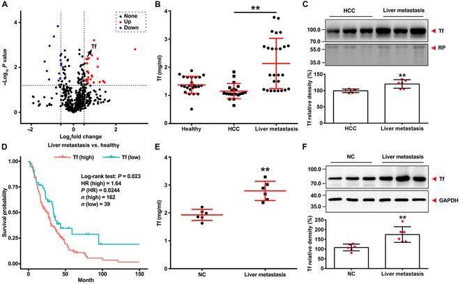 https://cdn.ncbi.nlm.nih.gov/pmc/blobs/c56f/11731779/5c431b069a62/research.0578.fig.001.jpg