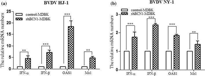 https://cdn.ncbi.nlm.nih.gov/pmc/blobs/c576/7086613/d54b7824a5d1/705_2017_3482_Fig7_HTML.jpg
