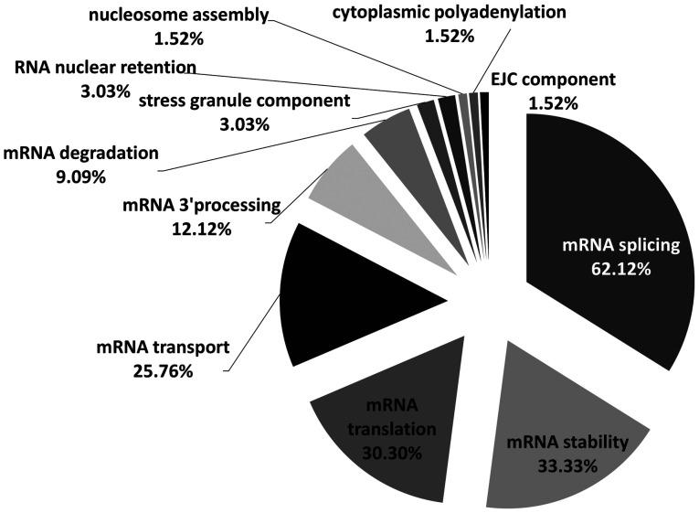 https://cdn.ncbi.nlm.nih.gov/pmc/blobs/c581/11240274/034710999f02/br-21-02-01813-g02.jpg