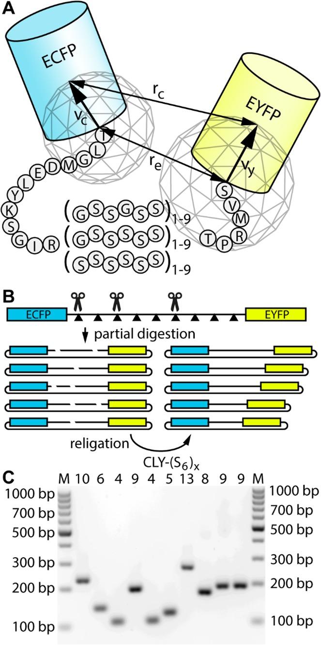 https://cdn.ncbi.nlm.nih.gov/pmc/blobs/c581/6150656/30c3ddc67635/bi-2017-00902m_0001.jpg