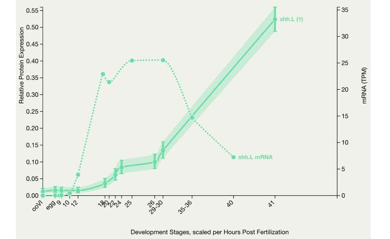 https://cdn.ncbi.nlm.nih.gov/pmc/blobs/c582/8137141/9927b0708f94/elife-61804-resp-fig2.jpg