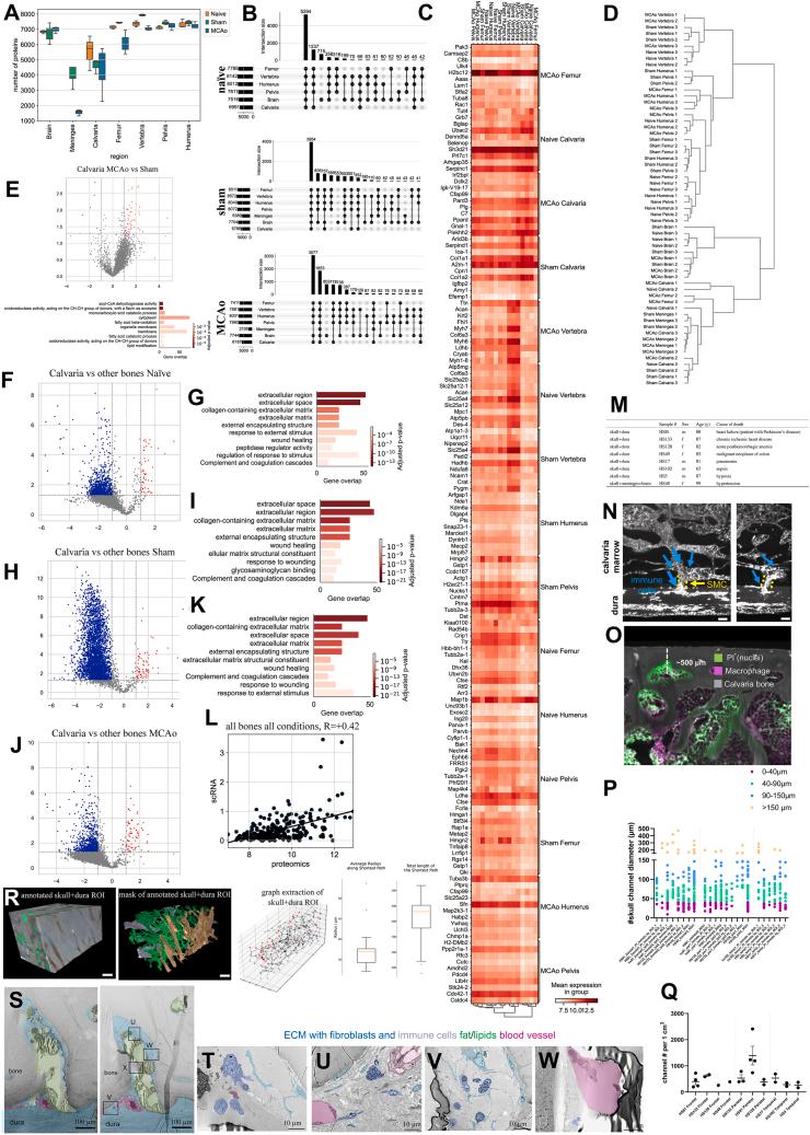 https://cdn.ncbi.nlm.nih.gov/pmc/blobs/c5cb/10443631/3a8453700b88/figs5.jpg