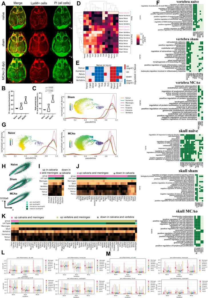 https://cdn.ncbi.nlm.nih.gov/pmc/blobs/c5cb/10443631/787eb4671d8d/figs3.jpg