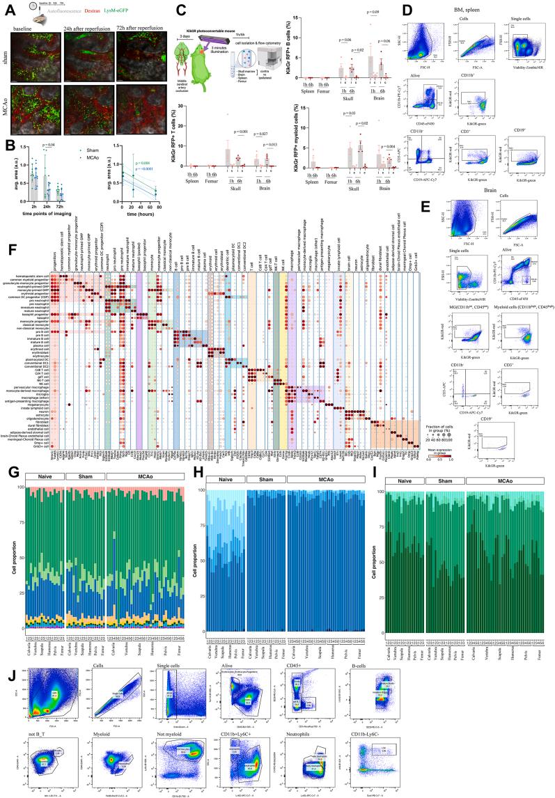 https://cdn.ncbi.nlm.nih.gov/pmc/blobs/c5cb/10443631/a48b89b1985d/figs1.jpg