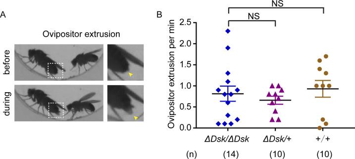 https://cdn.ncbi.nlm.nih.gov/pmc/blobs/c5fe/9045819/61479e11e639/elife-76025-fig1-figsupp2.jpg