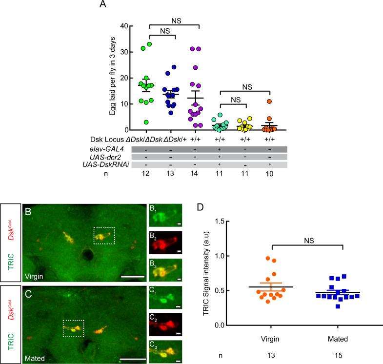 https://cdn.ncbi.nlm.nih.gov/pmc/blobs/c5fe/9045819/dd3a28eb266d/elife-76025-fig1-figsupp6.jpg