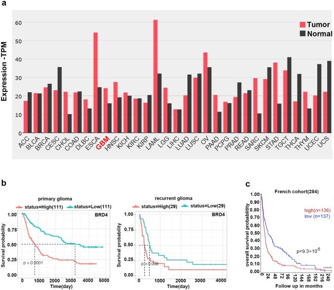https://cdn.ncbi.nlm.nih.gov/pmc/blobs/c60a/9637061/3693c1f1ffa1/280_2022_4483_Fig1_HTML.jpg