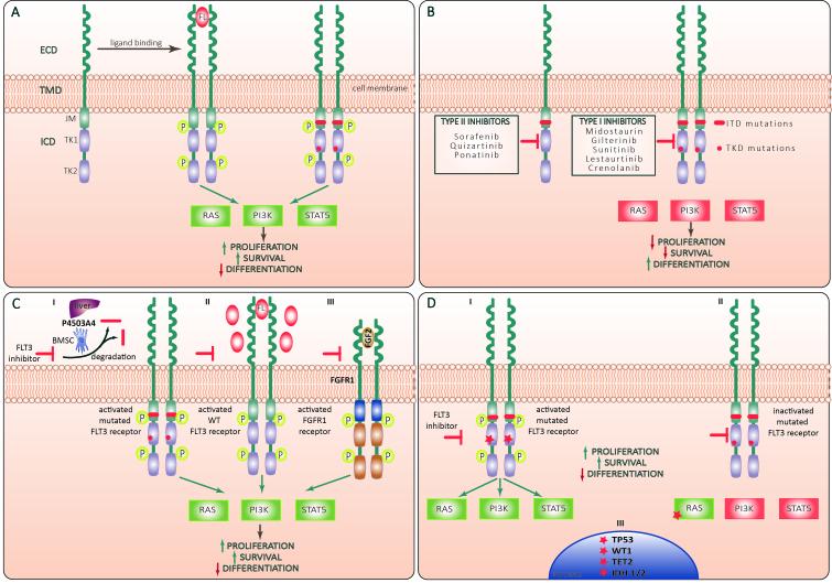 https://cdn.ncbi.nlm.nih.gov/pmc/blobs/c620/10344728/747c05c42cac/cdr-6-2-223.fig.1.jpg