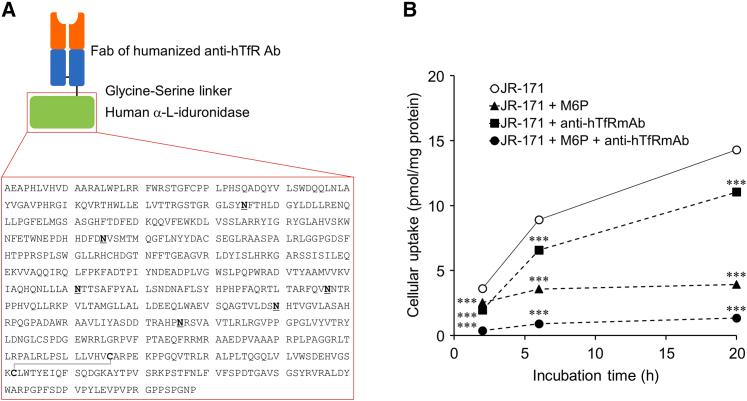 https://cdn.ncbi.nlm.nih.gov/pmc/blobs/c624/10220318/46642258c284/gr1.jpg