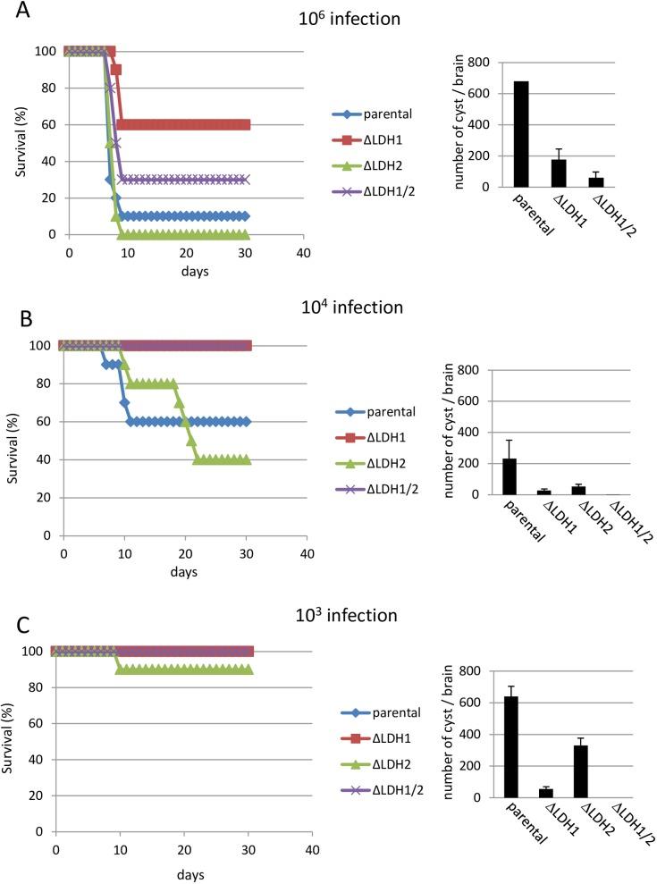 https://cdn.ncbi.nlm.nih.gov/pmc/blobs/c63a/5360243/166c6638485a/pone.0173745.g004.jpg