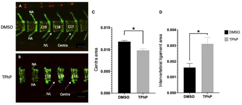https://cdn.ncbi.nlm.nih.gov/pmc/blobs/c65b/12390264/7db84c3d5faa/toxics-13-00654-g001.jpg