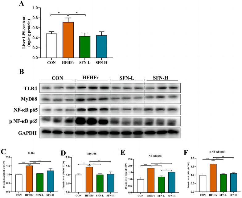https://cdn.ncbi.nlm.nih.gov/pmc/blobs/c669/9920698/1c69ba6a03b7/nutrients-15-00743-g005.jpg