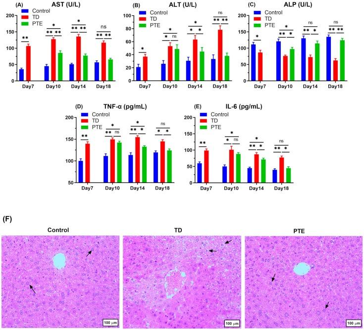 https://cdn.ncbi.nlm.nih.gov/pmc/blobs/c67f/6995622/463a12c86303/biomolecules-09-00784-g003.jpg