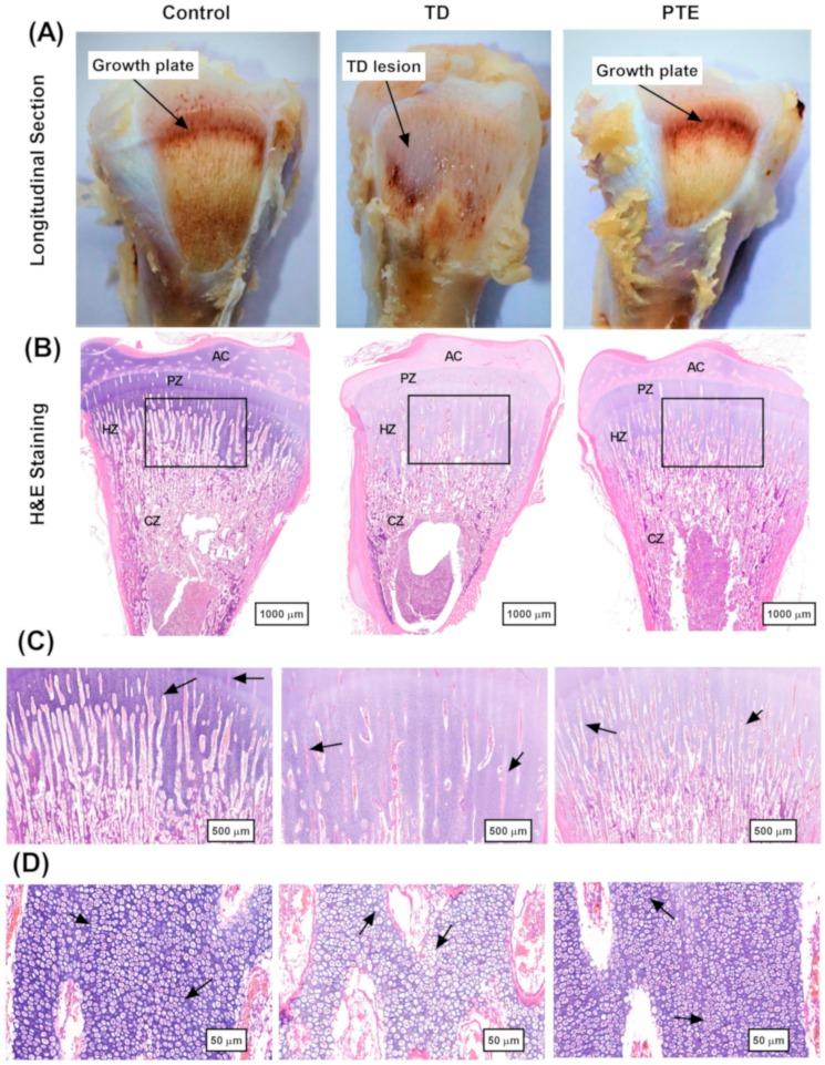 https://cdn.ncbi.nlm.nih.gov/pmc/blobs/c67f/6995622/ed03cc173450/biomolecules-09-00784-g005a.jpg