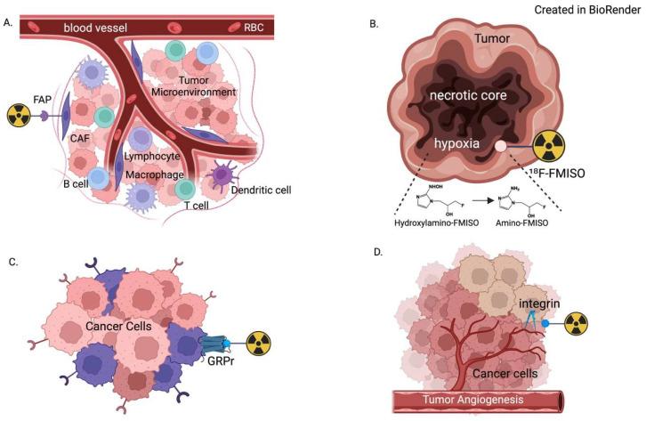 https://cdn.ncbi.nlm.nih.gov/pmc/blobs/c698/12390037/ae7dc6a0af3f/tomography-11-00083-g001.jpg