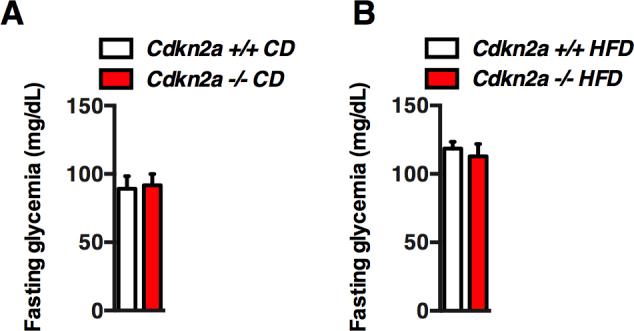 https://cdn.ncbi.nlm.nih.gov/pmc/blobs/c69e/5985036/1e7364e604b5/figs1.jpg