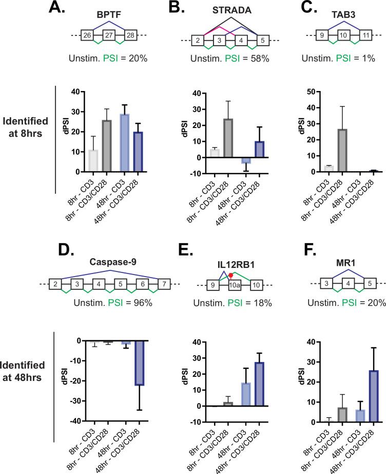 https://cdn.ncbi.nlm.nih.gov/pmc/blobs/c6a5/9625086/4a548ae99c71/elife-80953-fig3.jpg