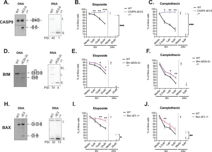 https://cdn.ncbi.nlm.nih.gov/pmc/blobs/c6a5/9625086/b3cec15b32ff/elife-80953-fig5.jpg