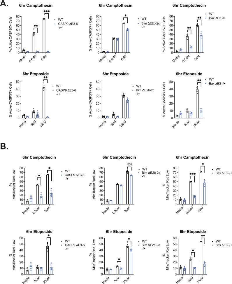https://cdn.ncbi.nlm.nih.gov/pmc/blobs/c6a5/9625086/b4ee725a5f23/elife-80953-fig5-figsupp3.jpg