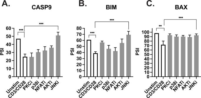 https://cdn.ncbi.nlm.nih.gov/pmc/blobs/c6a5/9625086/c887389ff992/elife-80953-fig7.jpg