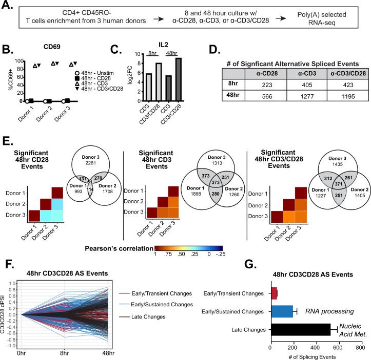 https://cdn.ncbi.nlm.nih.gov/pmc/blobs/c6a5/9625086/df0ce6aee6e3/elife-80953-fig1.jpg