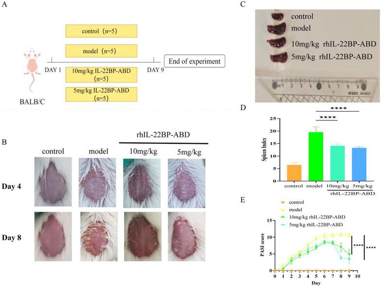 https://cdn.ncbi.nlm.nih.gov/pmc/blobs/c6b4/12361007/0748e9b55d7d/13568_2025_1931_Fig6_HTML.jpg