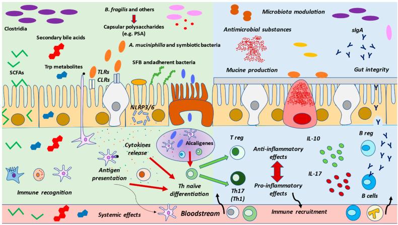 https://cdn.ncbi.nlm.nih.gov/pmc/blobs/c6bc/7927055/29c99741f58e/nutrients-13-00699-g002.jpg