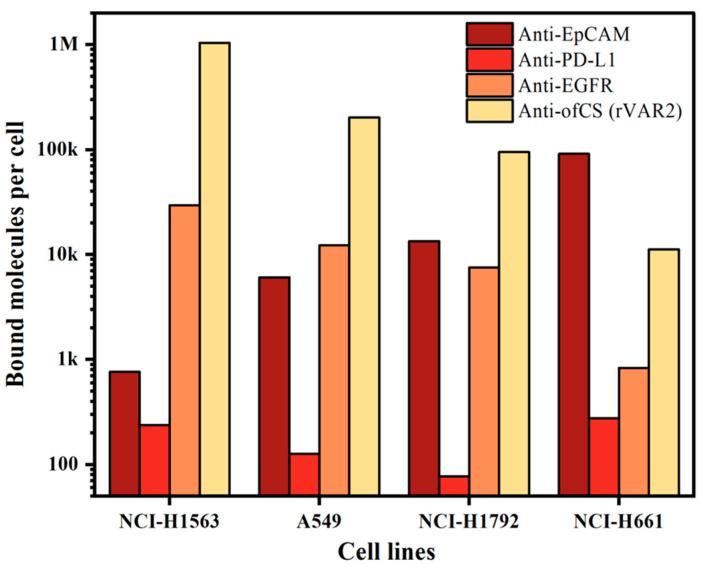 https://cdn.ncbi.nlm.nih.gov/pmc/blobs/c6be/11432156/40fea71ebf82/ijms-25-09816-g002.jpg
