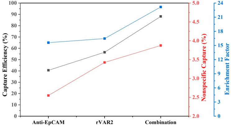 https://cdn.ncbi.nlm.nih.gov/pmc/blobs/c6be/11432156/5035d467b372/ijms-25-09816-g007.jpg