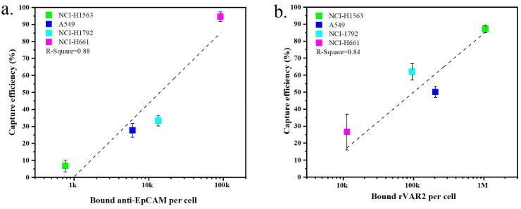 https://cdn.ncbi.nlm.nih.gov/pmc/blobs/c6be/11432156/a2cb762feb50/ijms-25-09816-g005.jpg