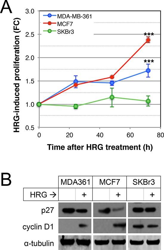 https://cdn.ncbi.nlm.nih.gov/pmc/blobs/c6bf/4414164/13961a15b8cf/oncotarget-06-3932-g003.jpg