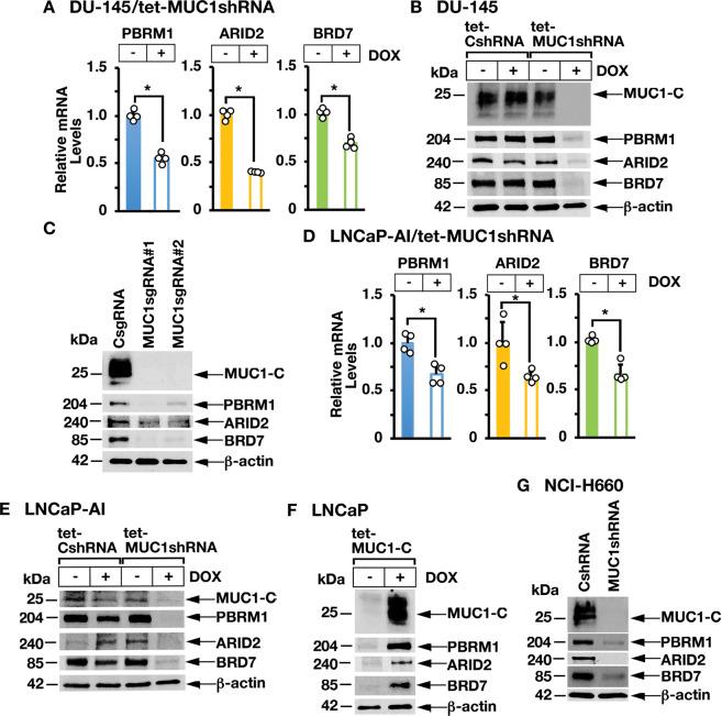 https://cdn.ncbi.nlm.nih.gov/pmc/blobs/c6c0/8321896/6313d86c549d/41388_2021_1899_Fig1_HTML.jpg