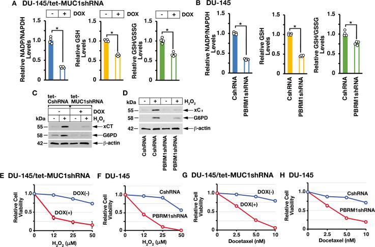 https://cdn.ncbi.nlm.nih.gov/pmc/blobs/c6c0/8321896/cb0b11a8aabe/41388_2021_1899_Fig6_HTML.jpg
