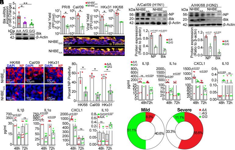 https://cdn.ncbi.nlm.nih.gov/pmc/blobs/c6cb/12280918/c6834f274f15/pnas.2424367122fig03.jpg