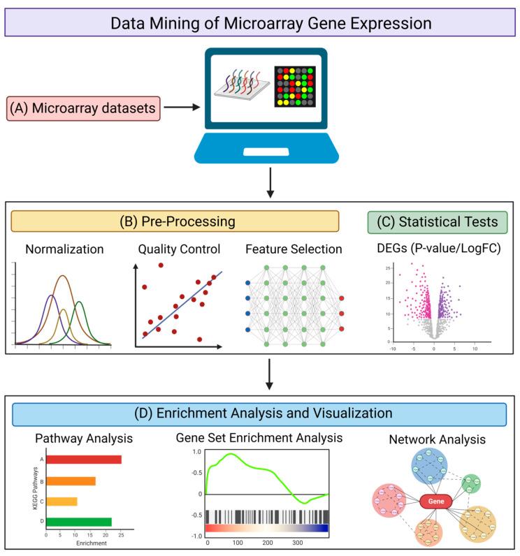 https://cdn.ncbi.nlm.nih.gov/pmc/blobs/c6de/10527016/0ccd51ac0b61/brainsci-13-01318-g002.jpg