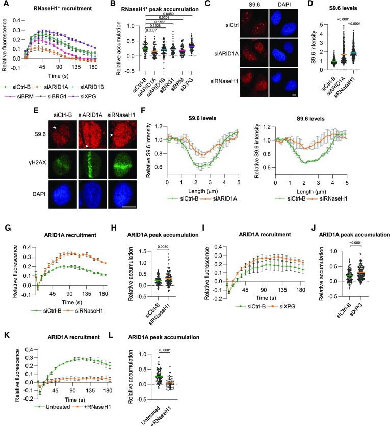 https://cdn.ncbi.nlm.nih.gov/pmc/blobs/c6e6/10516656/330fbf390c5f/gkad609fig6.jpg